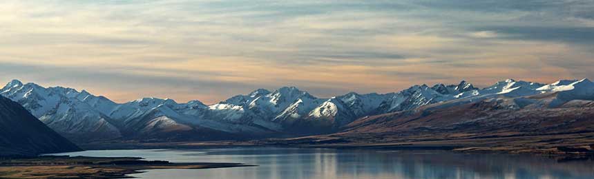 _九游体育App下载入口|九游体育